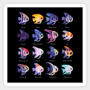 Angelfish! (Freshwater) Sticker